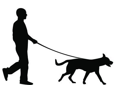 Is there a Dog Leash Law in Duval County?  Amelia View Neighborhood in